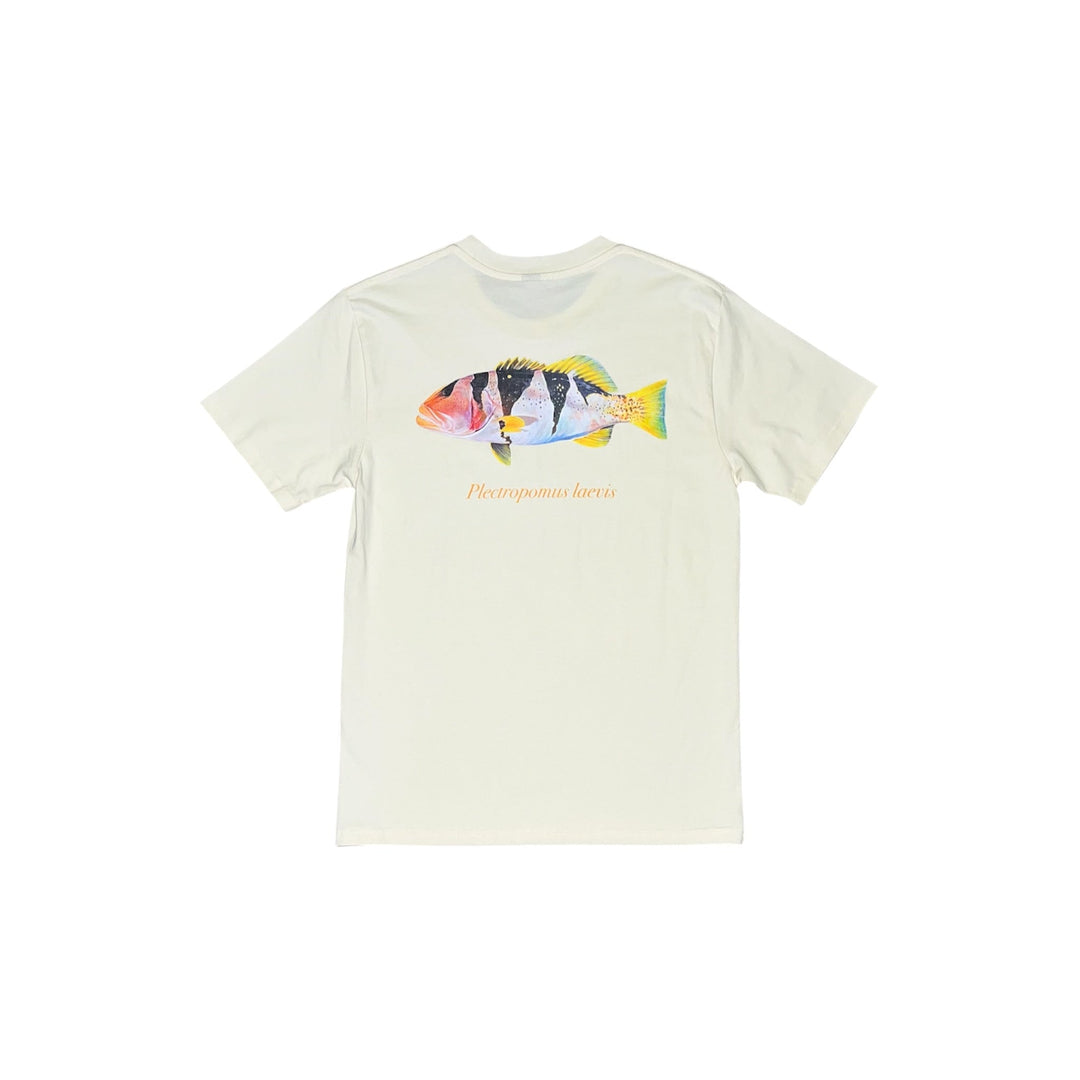 Footballer Coral Trout Tee Cream - Ocean Universal - Cairns