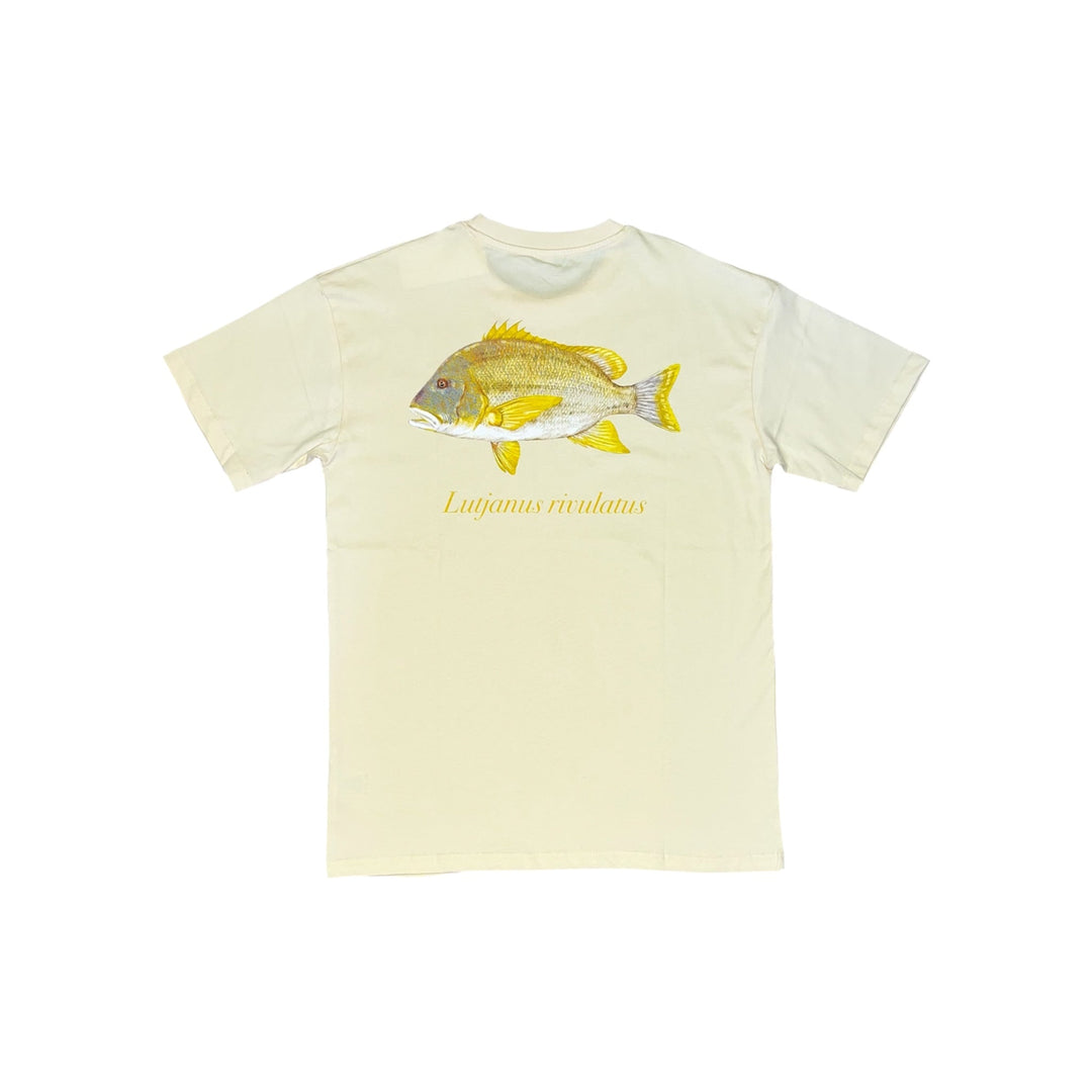Māori Sea Perch Tee Beige - Ocean Universal - Cairns