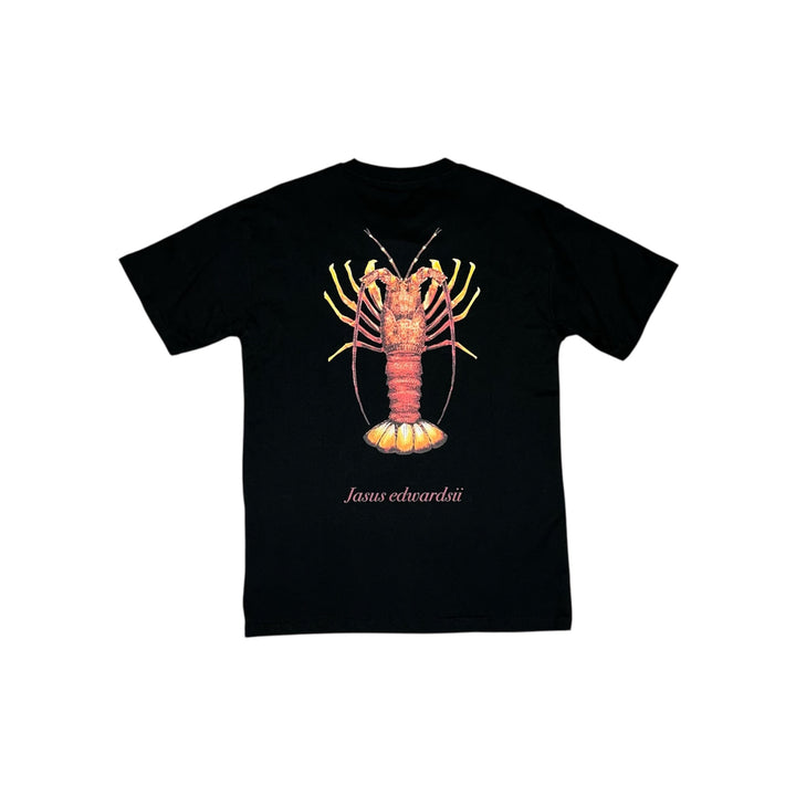 Southern Rock Lobster Tee Black - Ocean Universal - Cairns