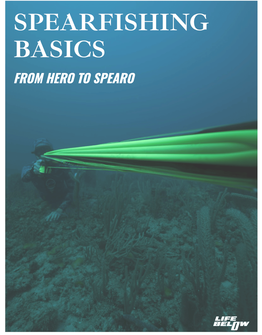 Spearfishing Basics - From Hero to Spearo PDF - Ocean Universal