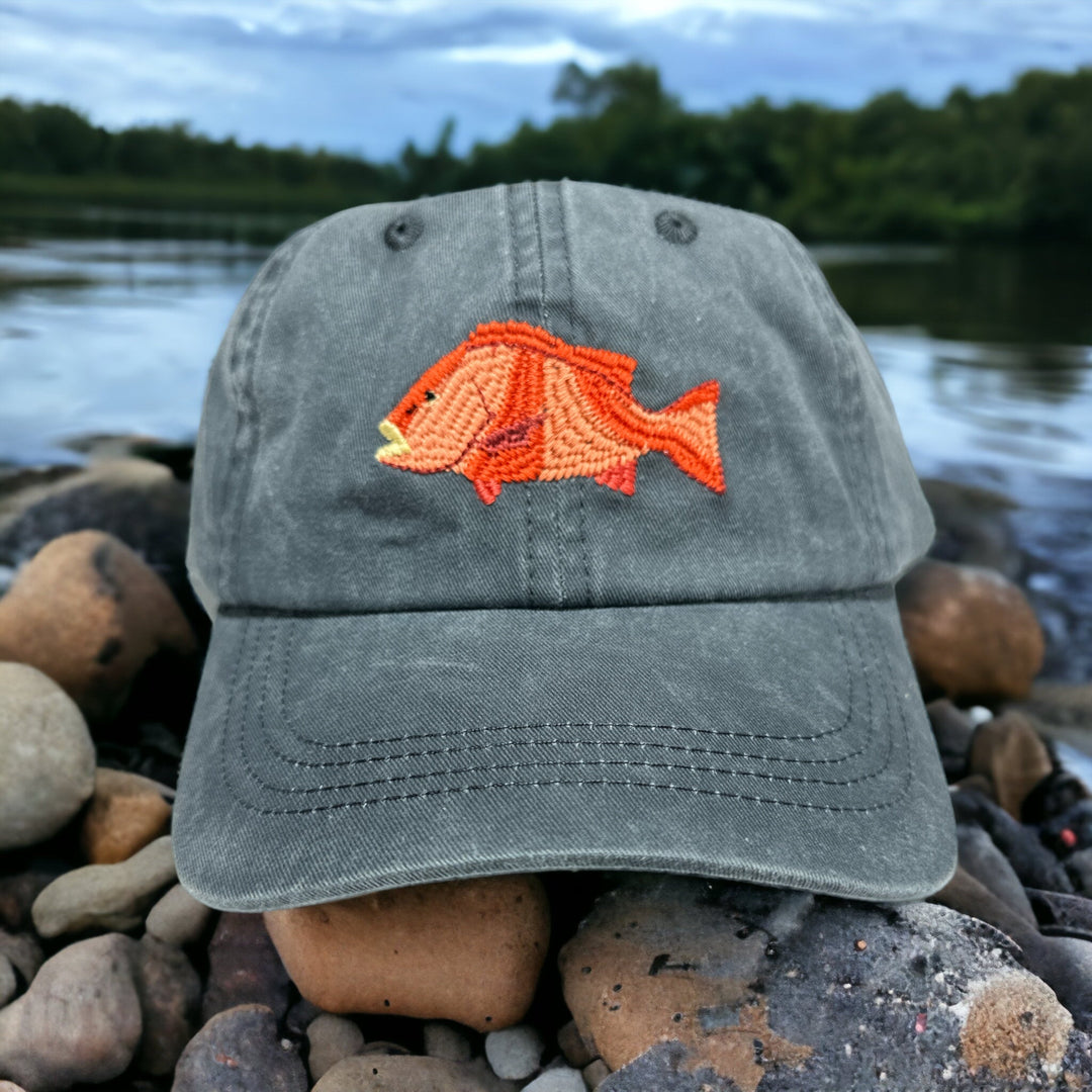 Red Emperor Fish Lid - Spearfishing Superstore