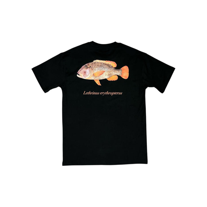 Buffalo Emperor Tee Black - Ocean Universal - Cairns