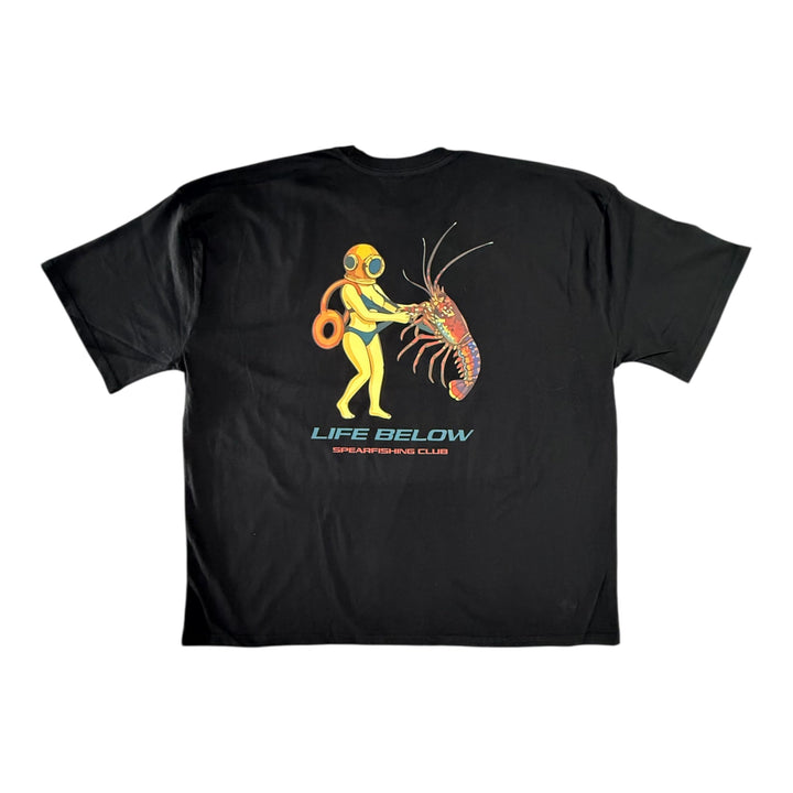 Cray Reveal - Ocean Universal - Cairns