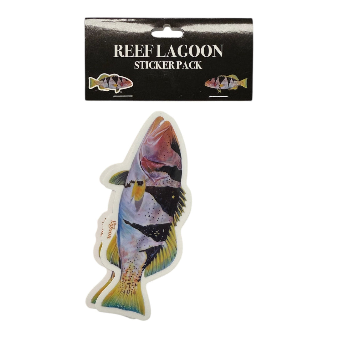 Footballer Coral Trout Sticker Pack - Ocean Universal - Cairns