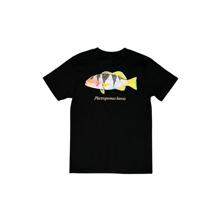 Footballer Coral Trout Tee Black - Ocean Universal - Cairns