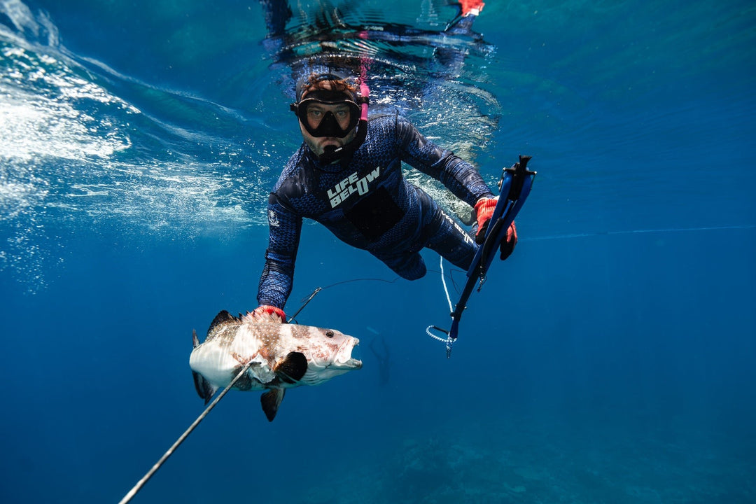 Life Below "DNA" Stinger Suit 2 Piece Electric Blue - Ocean Universal - Cairns