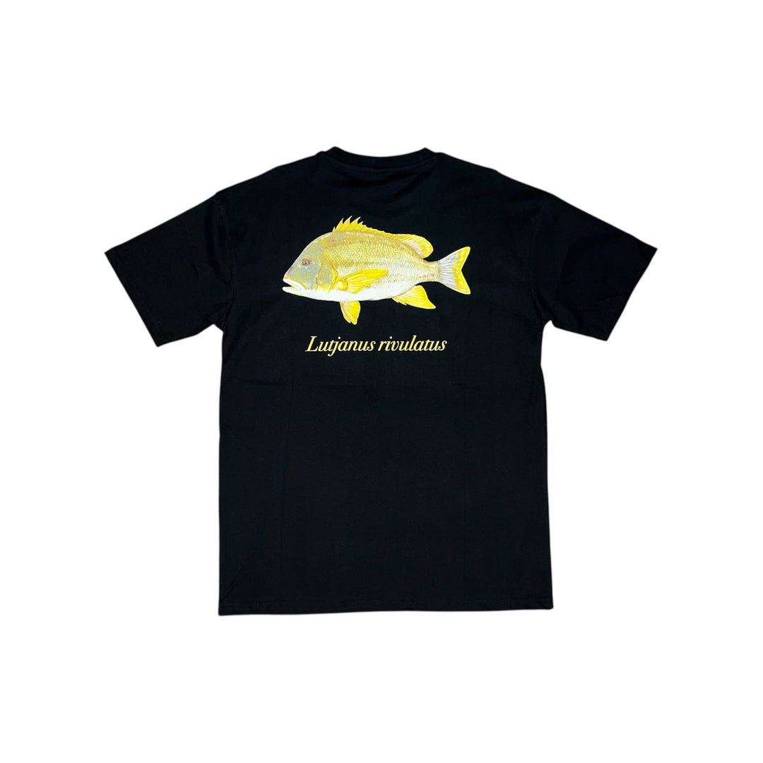 Māori Sea Perch Tee Black - Ocean Universal - Cairns