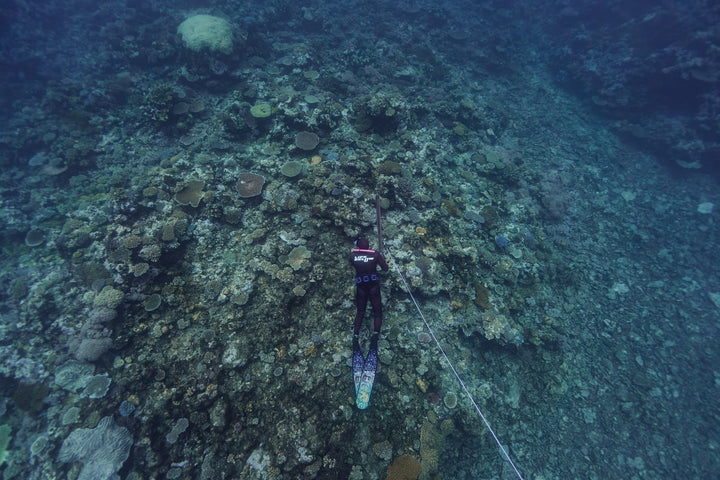 Ocean DNA Tropical 2mm Wetsuit Red - Ocean Universal - Cairns