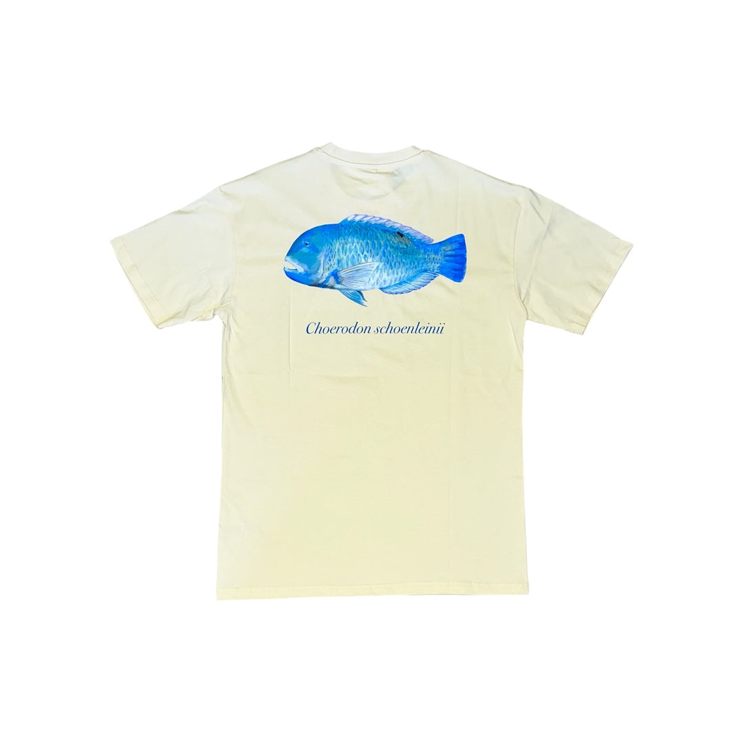 Tuskfish Tee Cream - Ocean Universal - Cairns