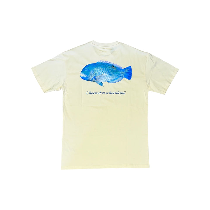 Tuskfish Tee Cream - Ocean Universal - Cairns